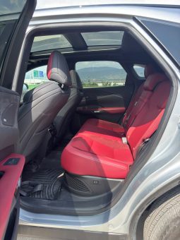 
										2023 Lexus RX full									