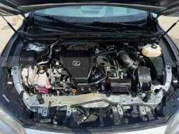 
										2023 Lexus RX full									