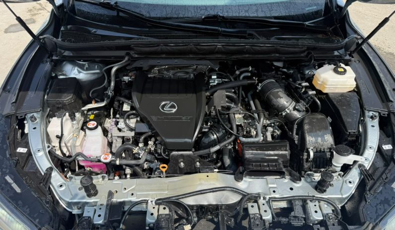 
								2023 Lexus RX full									