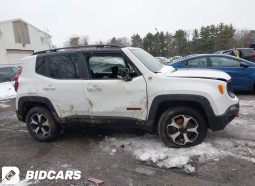 
										2021 Jeep Renegade, Trailhawk 4X4 full									