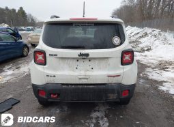 
										2021 Jeep Renegade, Trailhawk 4X4 full									