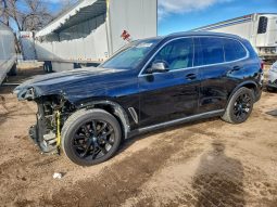 
										BMW X5 full									