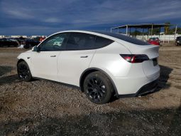 
										Tesla MODEL Y full									