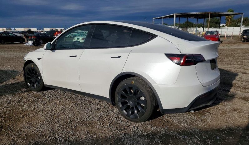 
								Tesla MODEL Y full									