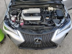 
										Lexus UX 250h full									