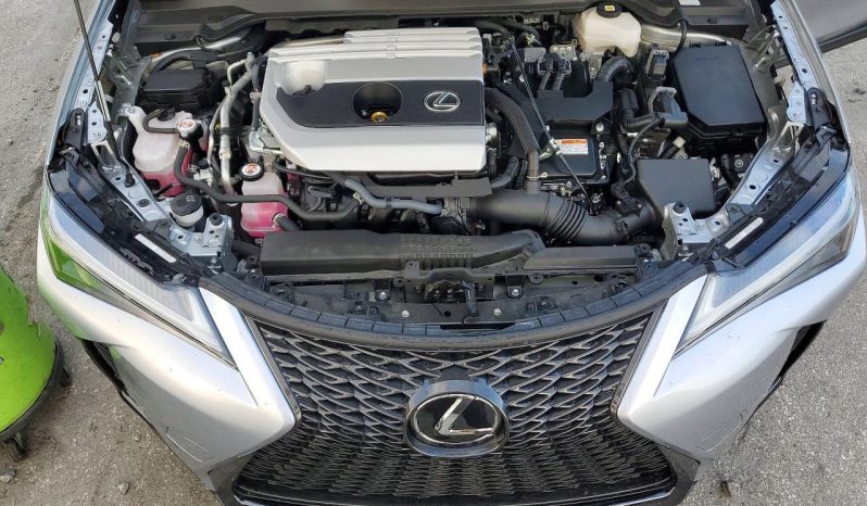 
								Lexus UX 250h full									