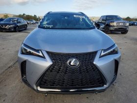 Lexus UX 250h