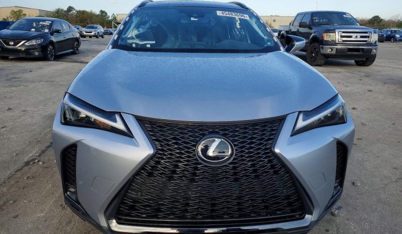 
								Lexus UX 250h full									