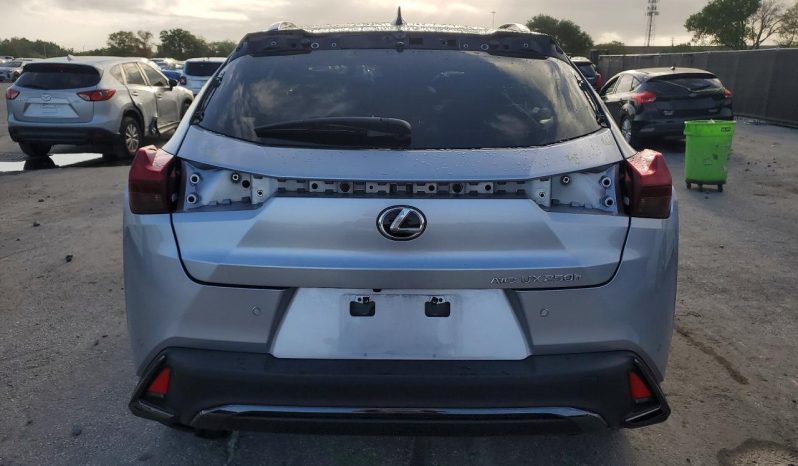 
								Lexus UX 250h full									