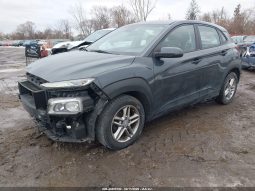 
										Hyundai Kona full									
