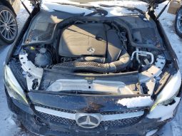 
										Mercedes-Benz C300 full									