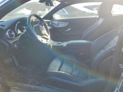 
										Mercedes-Benz C300 full									