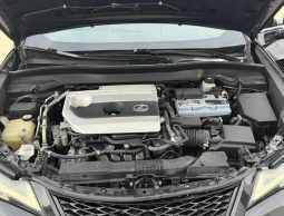 
										2019 Lexus UX, UX 200 full									