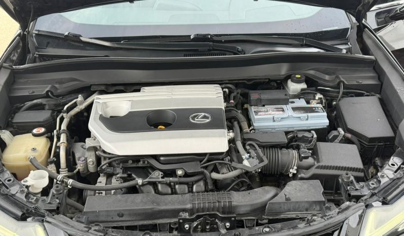 
								2019 Lexus UX, UX 200 full									