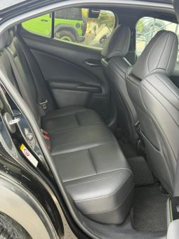 
										2019 Lexus UX, UX 200 full									