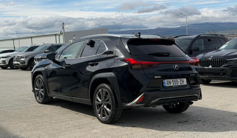 
								2019 Lexus UX, UX 200 full									