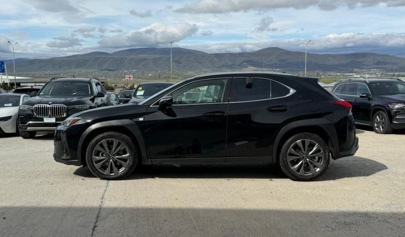 
								2019 Lexus UX, UX 200 full									