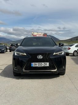 
										2019 Lexus UX, UX 200 full									