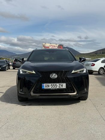 2019 Lexus UX, UX 200