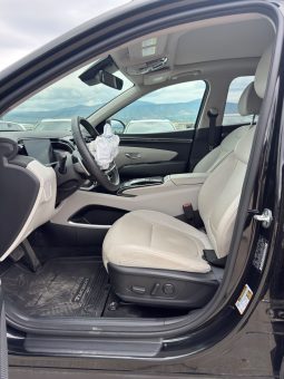 
										Hyundai Tucson full									