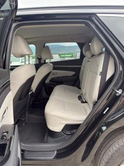 
										Hyundai Tucson full									