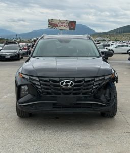 
										Hyundai Tucson full									