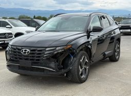 
										Hyundai Tucson full									