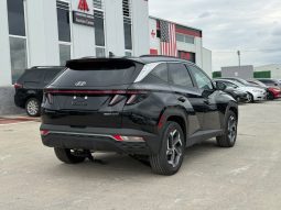 
										Hyundai Tucson full									