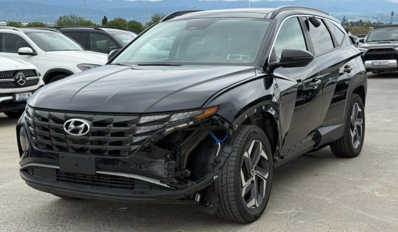 
								Hyundai Tucson full									