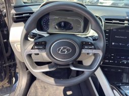 
										Hyundai Tucson full									
