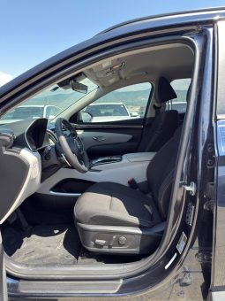 
										Hyundai Tucson full									