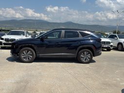 
										Hyundai Tucson full									