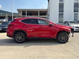 
										2024 Lexus NX 350, Luxury full									