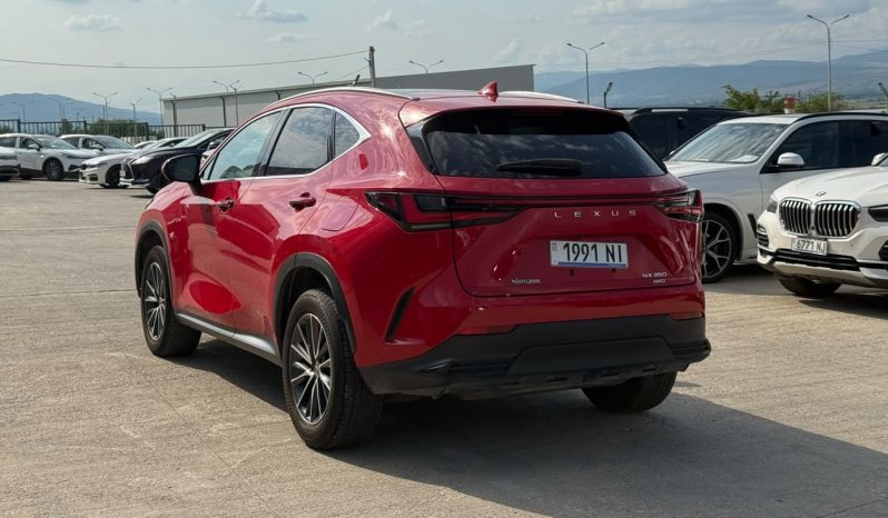 
								2024 Lexus NX 350, Luxury full									