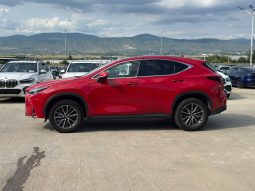 
										2024 Lexus NX 350, Luxury full									