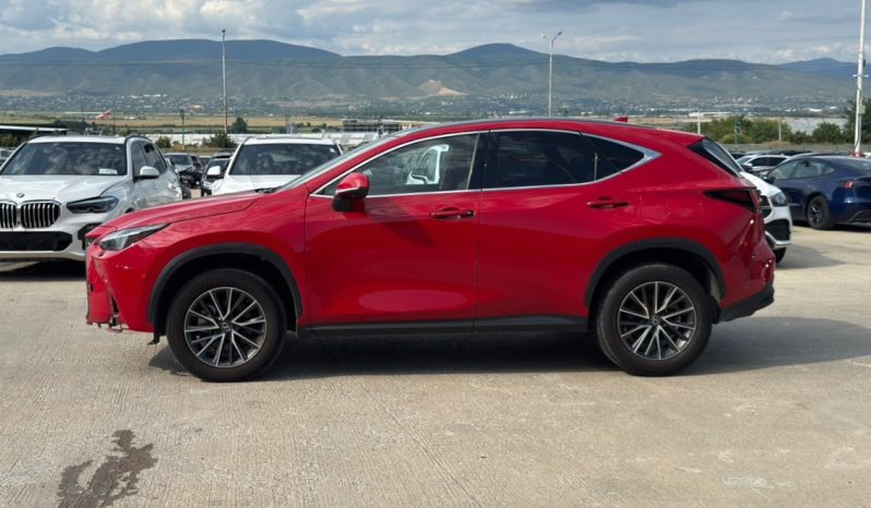 
								2024 Lexus NX 350, Luxury full									