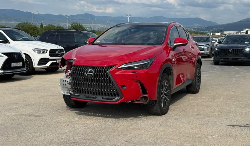 
								2024 Lexus NX 350, Luxury full									