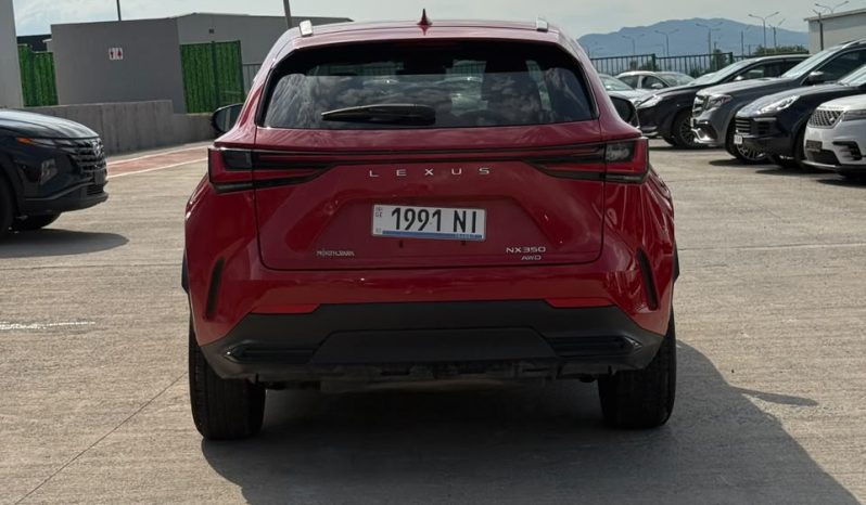 
								2024 Lexus NX 350, Luxury full									