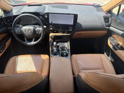 
										2024 Lexus NX 350, Luxury full									