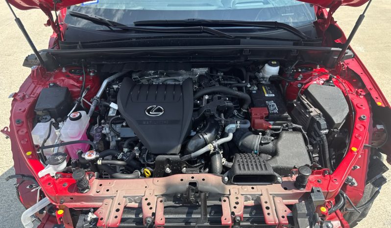 
								2024 Lexus NX 350, Luxury full									