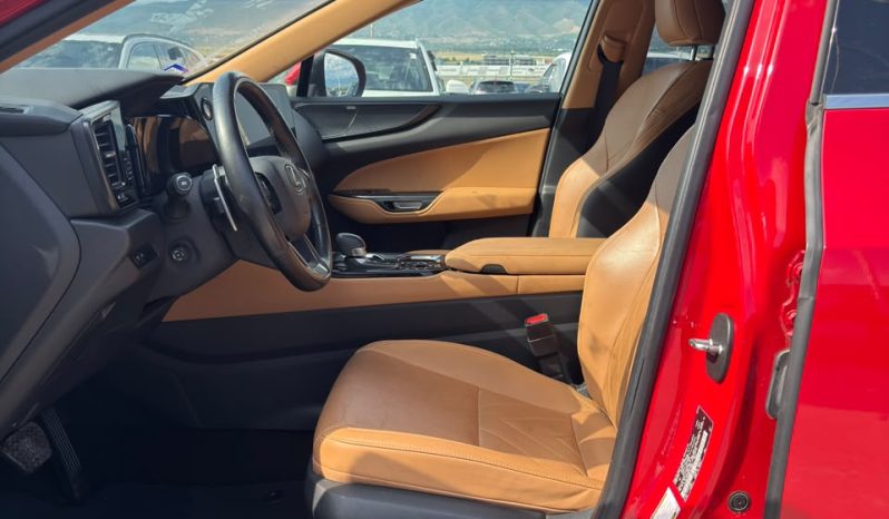 
								2024 Lexus NX 350, Luxury full									