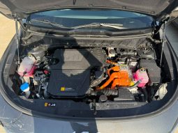 
										KIA Niro full									