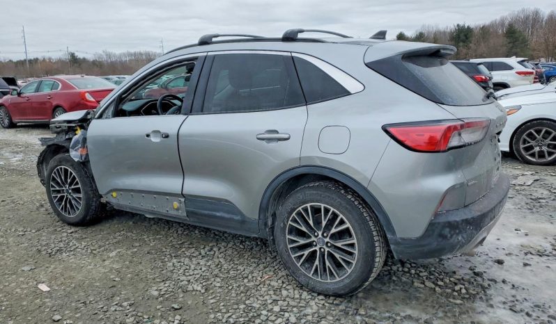 
								Ford Escape full									