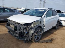 
										Hyundai Kona full									