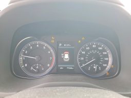 
										Hyundai Kona full									