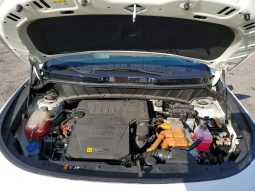 
										KIA Niro full									