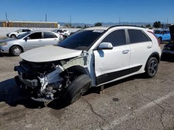 
										Kia Niro full									