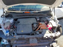 
										Kia Niro full									