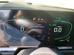 
										Kia Niro full									