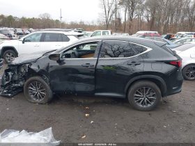 Lexus NX 350